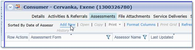 screenshot:  showing assessments tab